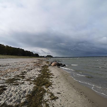 Ferienwohnungen "Weitblick" Und "Schwalbennest" Lodmannshagen Szoba fotó