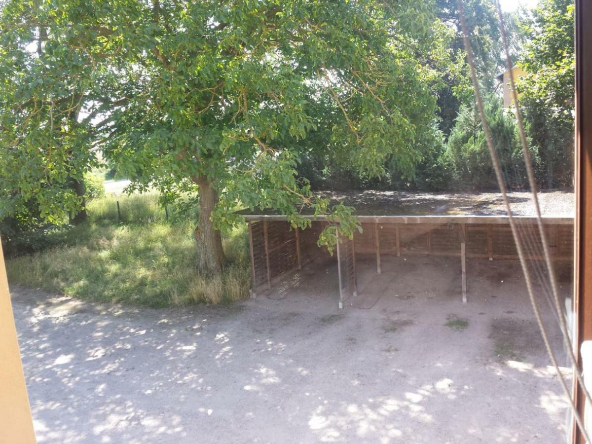 Ferienwohnungen "Weitblick" Und "Schwalbennest" Lodmannshagen Kültér fotó
